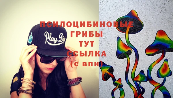 кокаин премиум Ельня