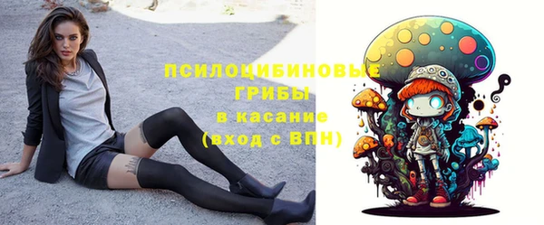 ГАЛЛЮЦИНОГЕННЫЕ ГРИБЫ Елизово