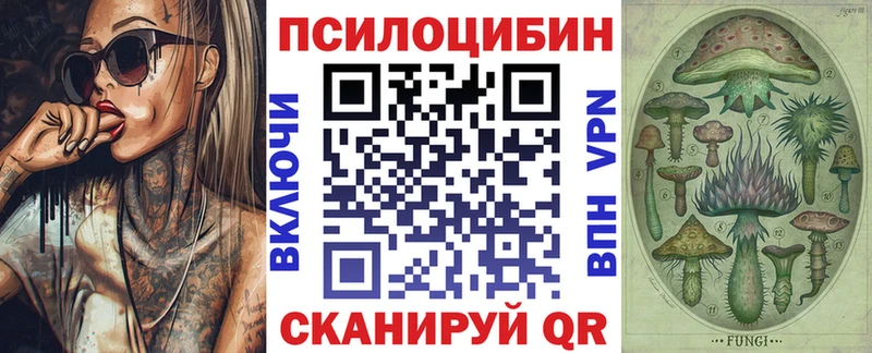 Псилоцибиновые грибы GOLDEN TEACHER  Купить где  Зарайск 